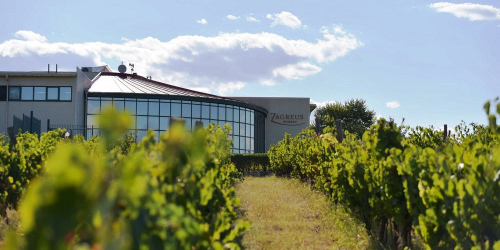 Zagreus Winery in the Thracian Lowlands of Bulgaria – wine producer specialising in Mavrud and wines from Mavrud